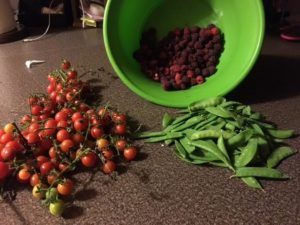 november-harvest