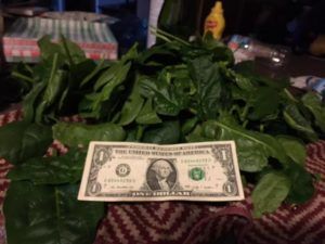 spinach