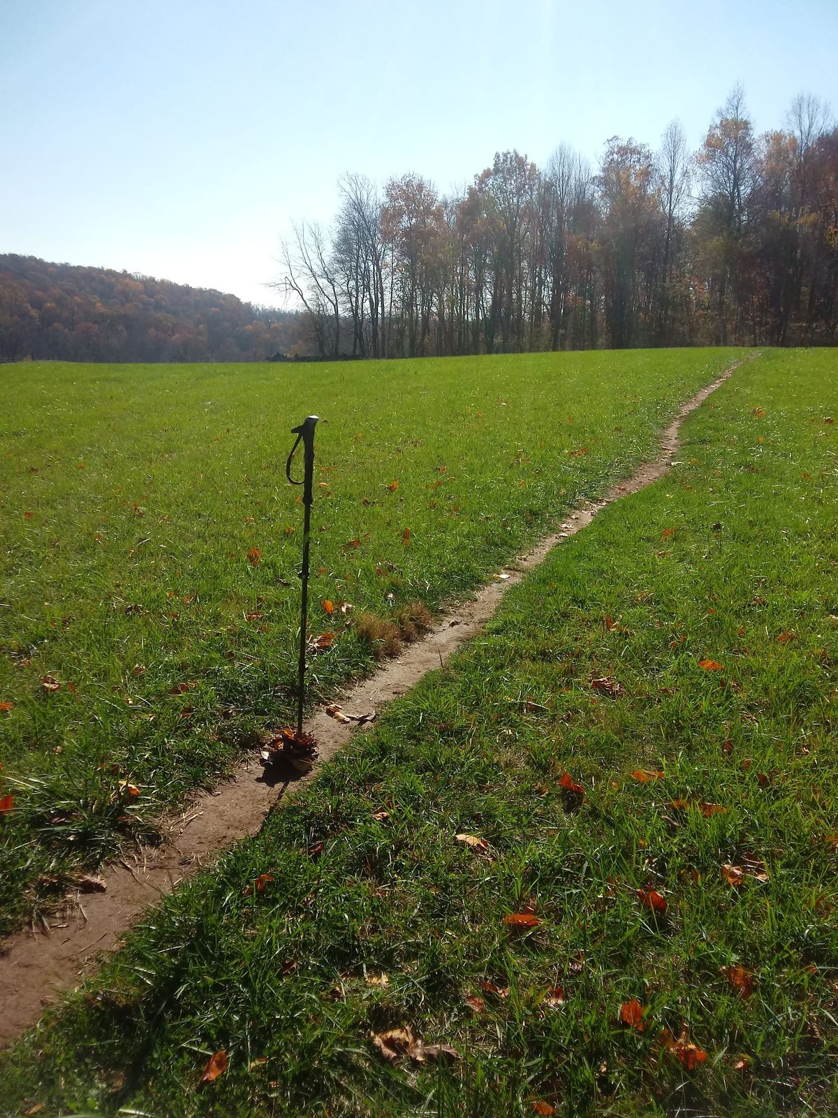 An Exploration of Pilgrimage: Past, Present, and Future