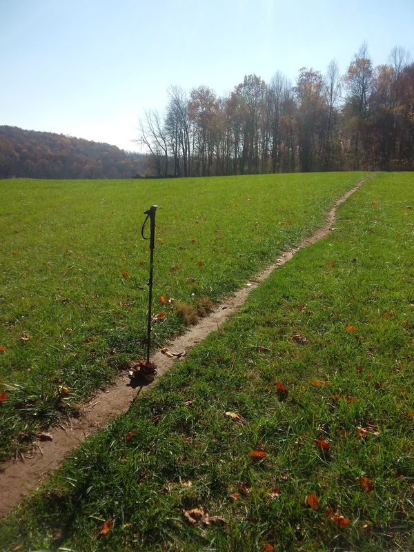 An Exploration of Pilgrimage: Past, Present, and Future