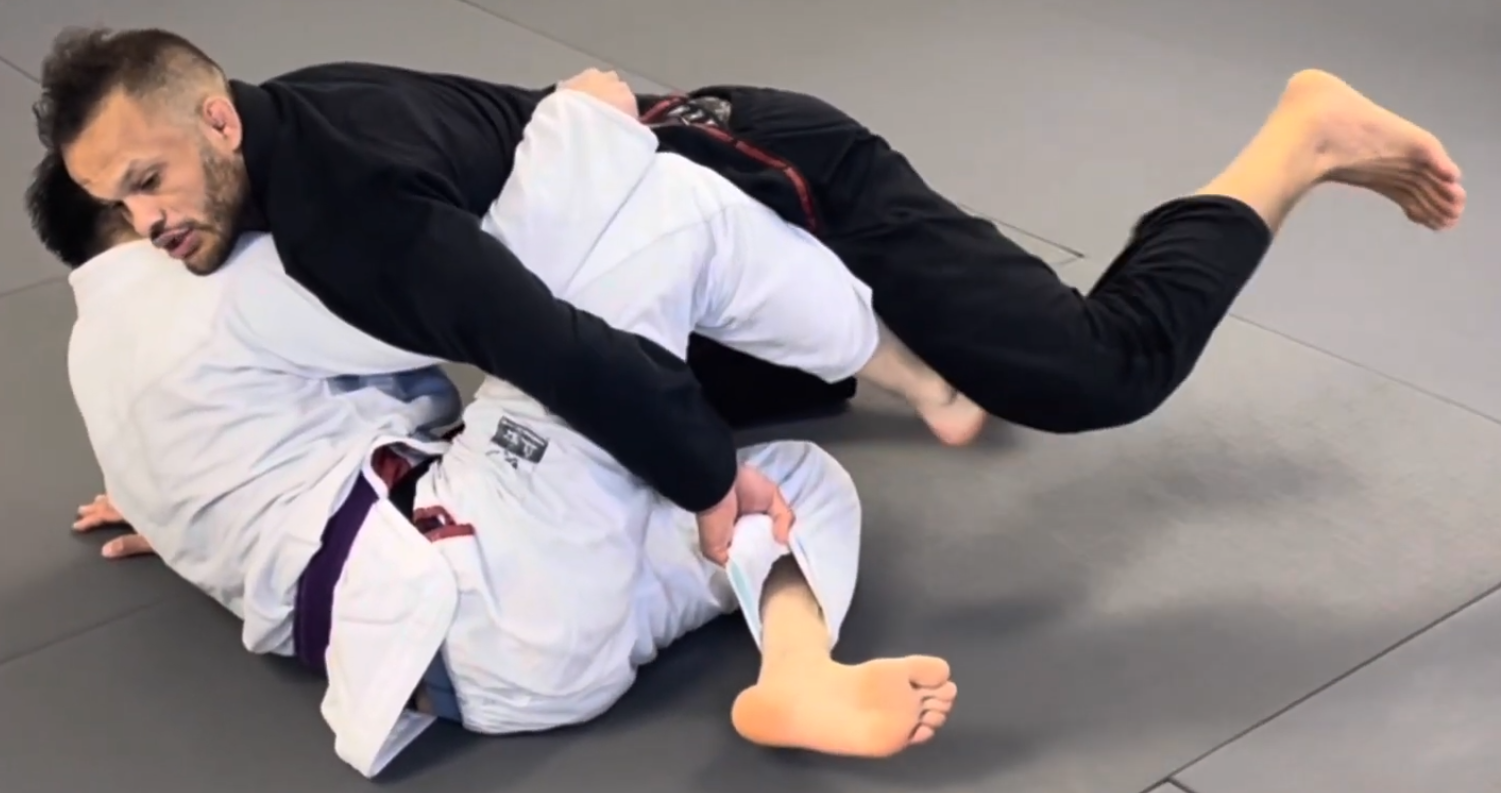 Butterfly guard passes
