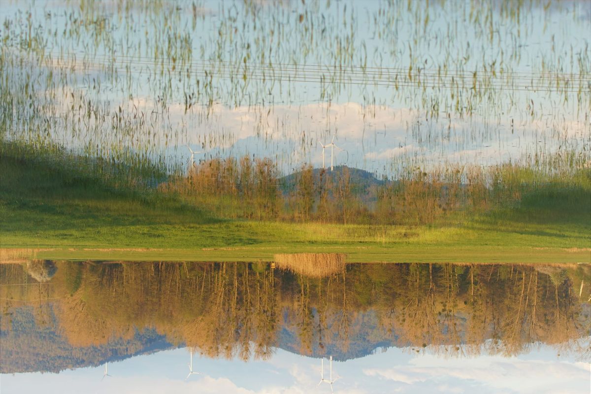 Autorité Cognitive et vérité