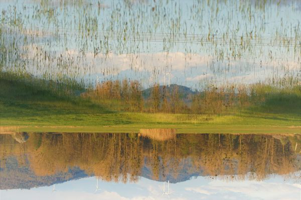 Autorité Cognitive et vérité