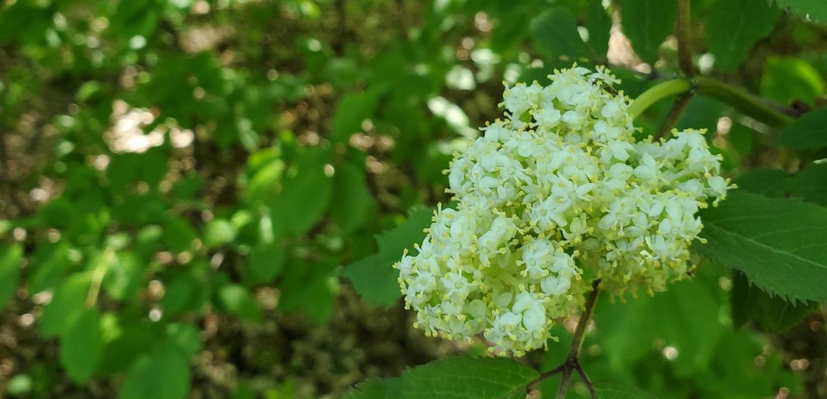 The Magical Power of a City Park: A Photo Essay Dedicated to Winnipeg’s Munson Park