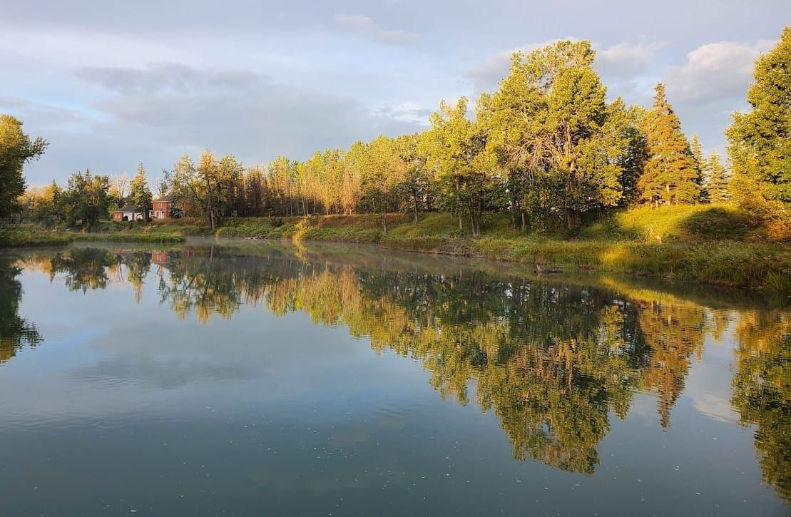 Nature Journal Entry #5: Mid-September at Inglewood Bird Sanctuary