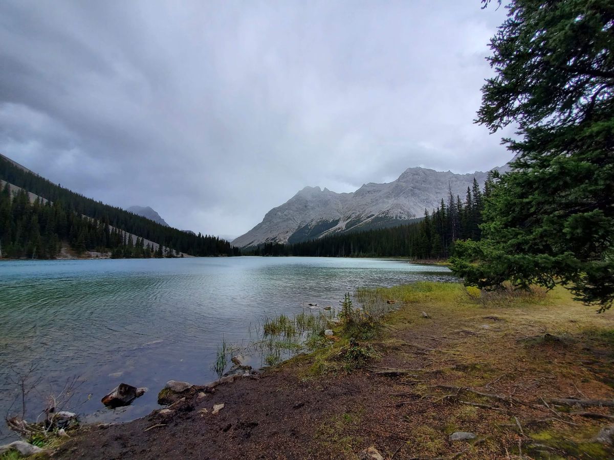 Nature Journal Entry #6: Elbow Lake Trail