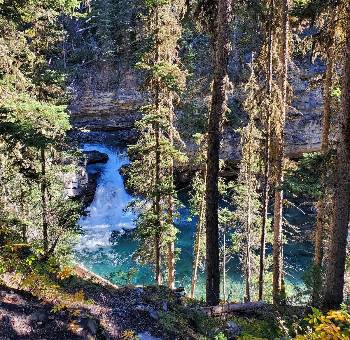 Nature Journal Entry #7: Johnston Canyon