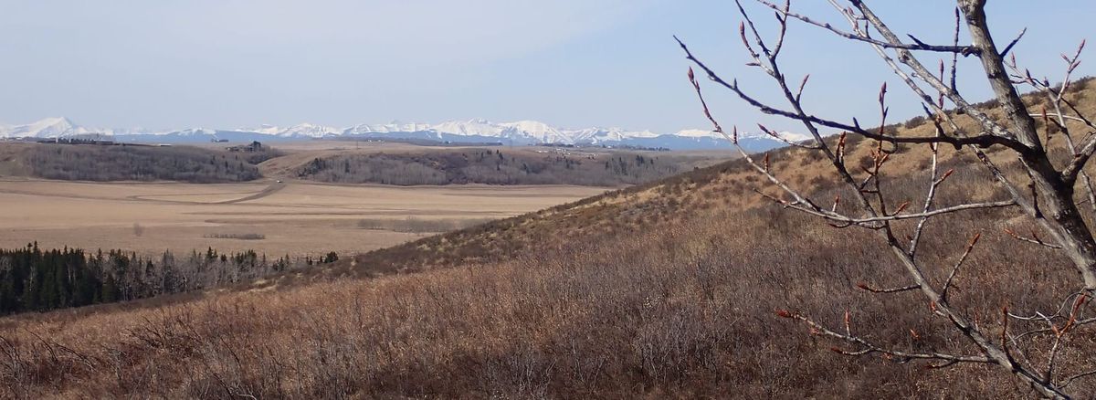 Nature Journal Entry #9: Early Spring at Glenbow Ranch Provincial Park