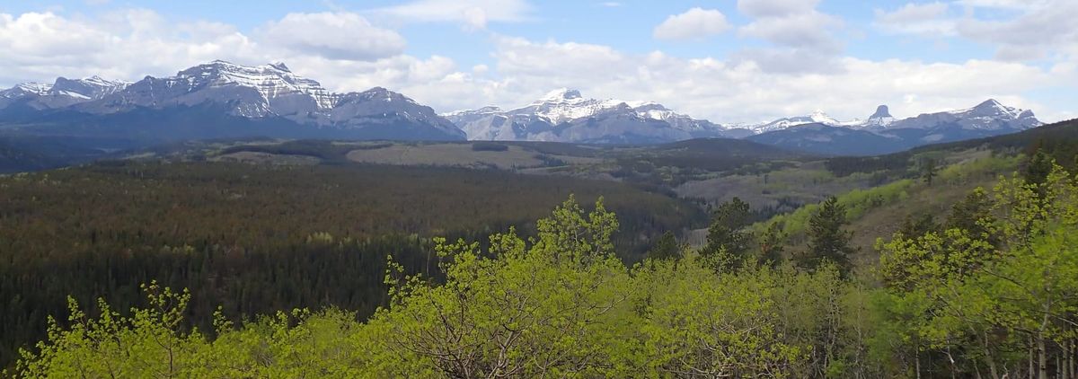 Nature Journal Entry #12: Mid-May Hike at Leseuer Ridge
