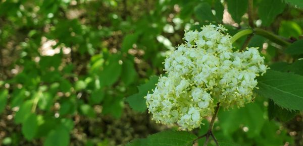 The Magical Power of a City Park: A Photo Essay Dedicated to Winnipeg’s Munson Park