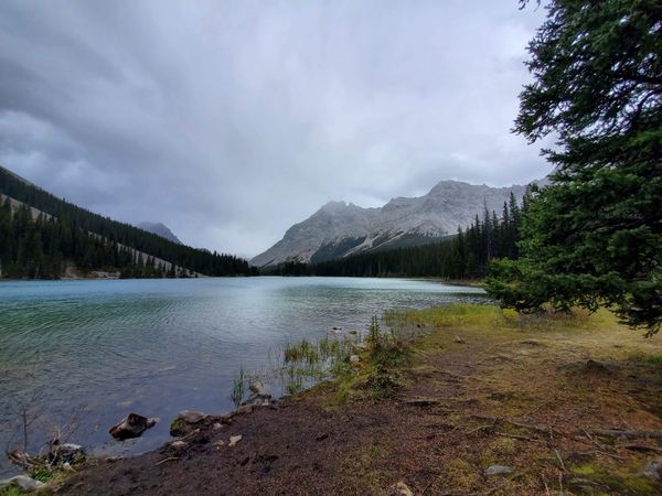 Nature Journal Entry #6: Elbow Lake Trail