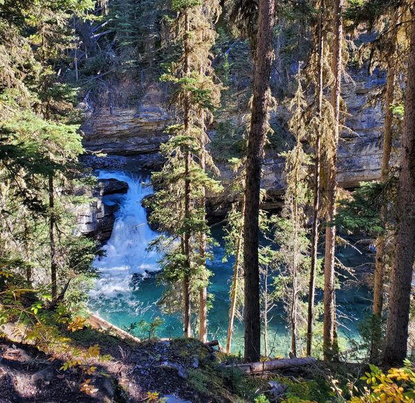 Nature Journal Entry #7: Johnston Canyon