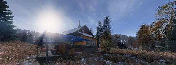 A Love Letter to DayZ