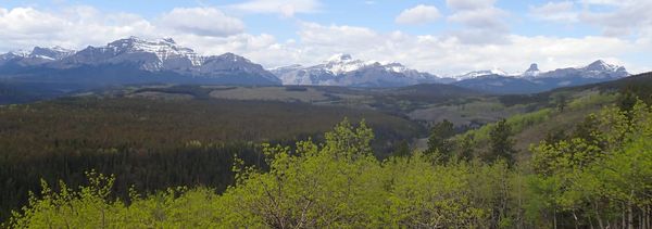 Nature Journal Entry #12: Mid-May Hike at Leseuer Ridge
