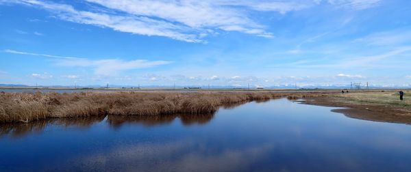 Nature Journal Entry #13: Spring Migration at Frank Lake