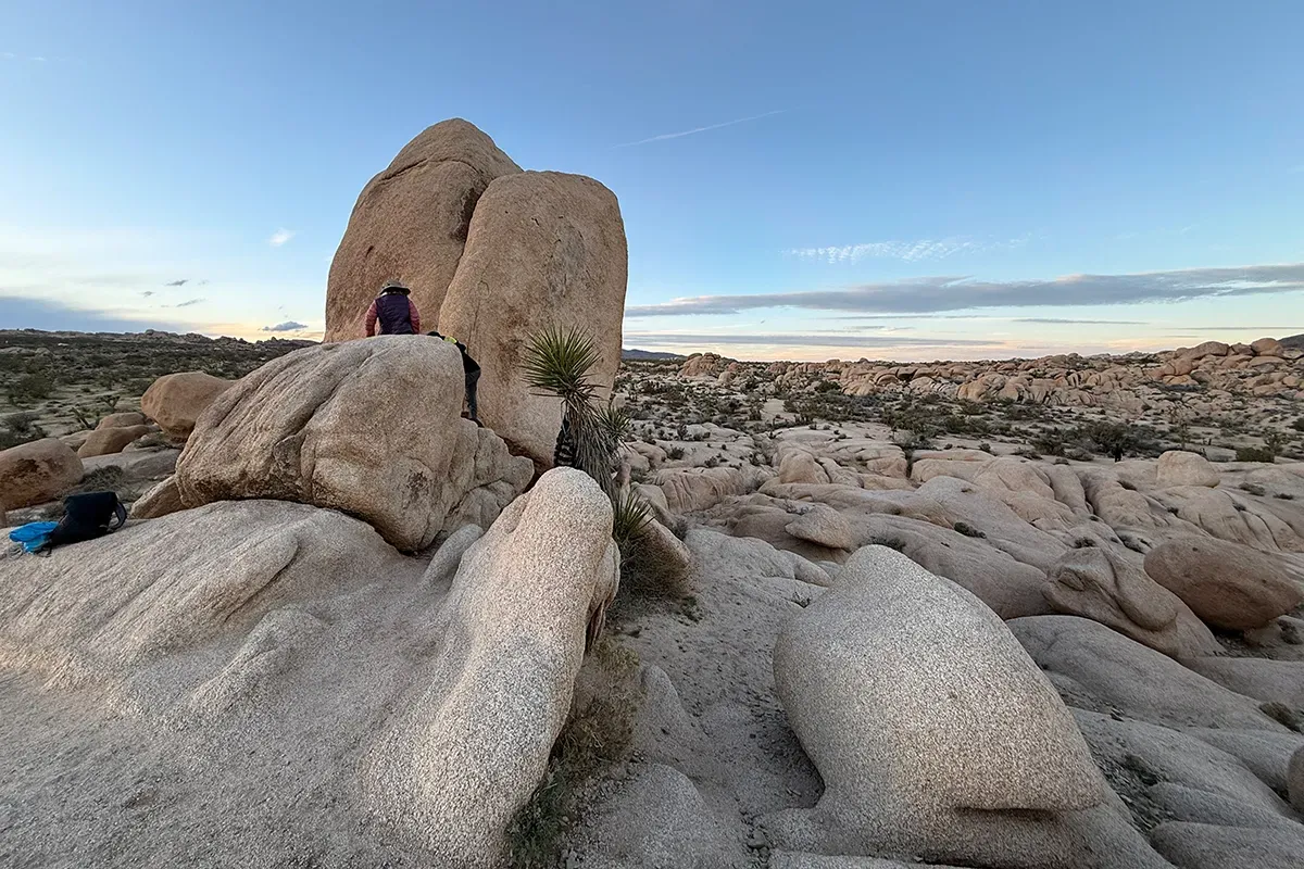 Things to do in Joshua Tree National Park California Rocks