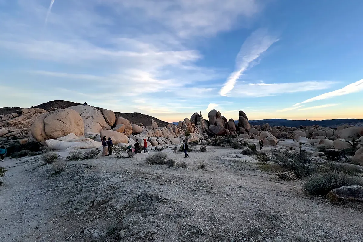 Things to do in Joshua Tree National Park California