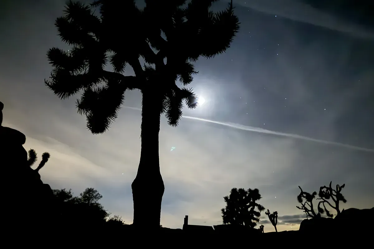 Things to do in Joshua Tree National Park California Night Sky Stargazing