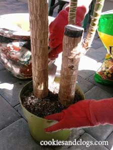 How to repot / re-pot a plant in a new container tutorial