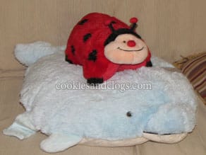 ppdolphin1