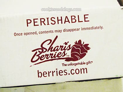 shari1
