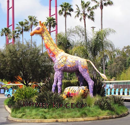 sixflagsdolphin01