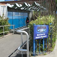 sixflagsdolphin03
