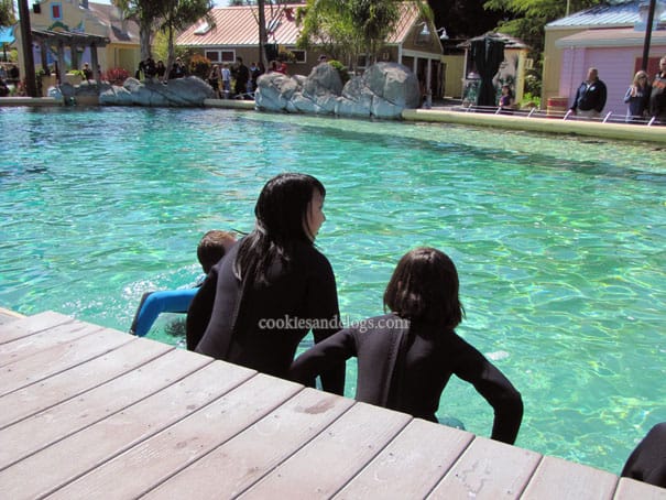 sixflagsdolphin07
