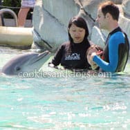 sixflagsdolphin08