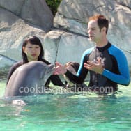 sixflagsdolphin09