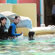 sixflagsdolphin12