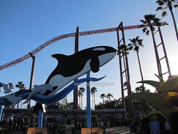sixflagsdolphin14