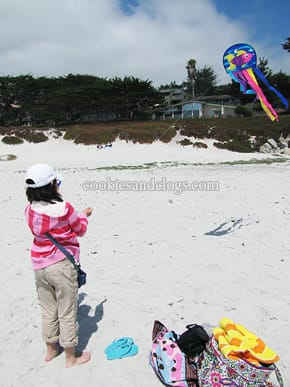 carmelbeach2