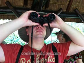 wdw_ak08