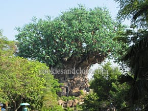 wdw_ak09