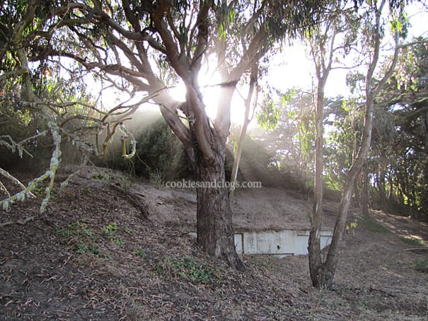 fortfunston2