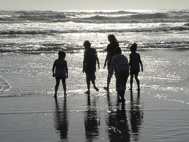 fortfunston5