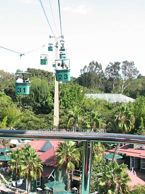 sdzoo03