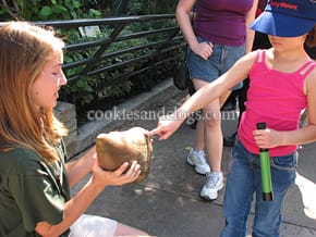 sdzoo04