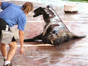 sdzoo05