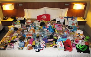 BlogHer '11 Swag Front