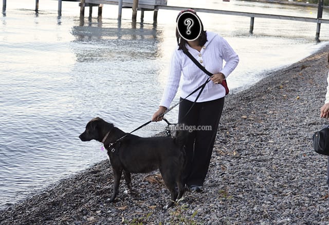 Dog owners lose all identity
