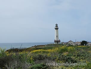 Santa Cruz Coast and Beach Boardwalk in California