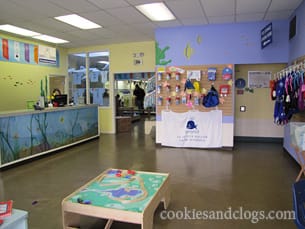 lapetitebaleen02 La Petite Baleen swimming school in San Bruno, CA