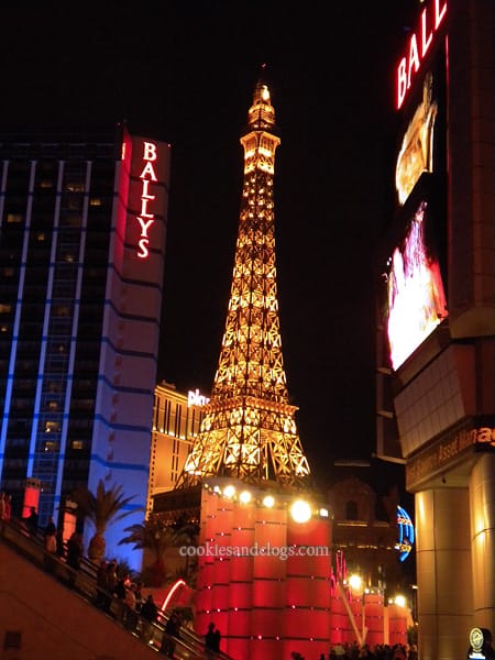 lasvegas00 Las Vegas Nevada for family with kids