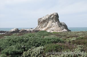 Piedras Blancas Light Station House Tour in San Simeon, California