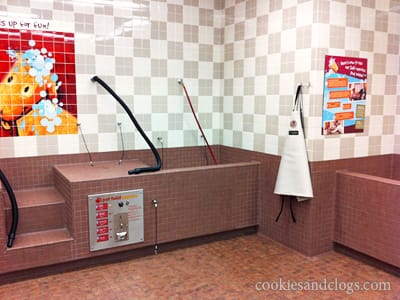 Pet Food Express Dog Wash Station