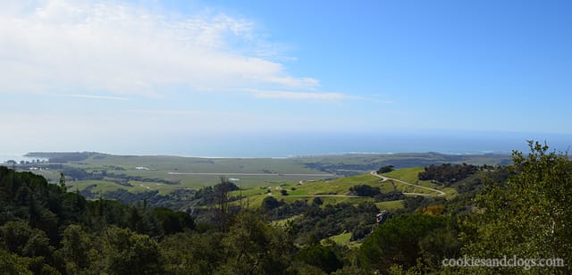 hearstcastle10 Hearst Castle Historical State Park in San Simeon in Central California