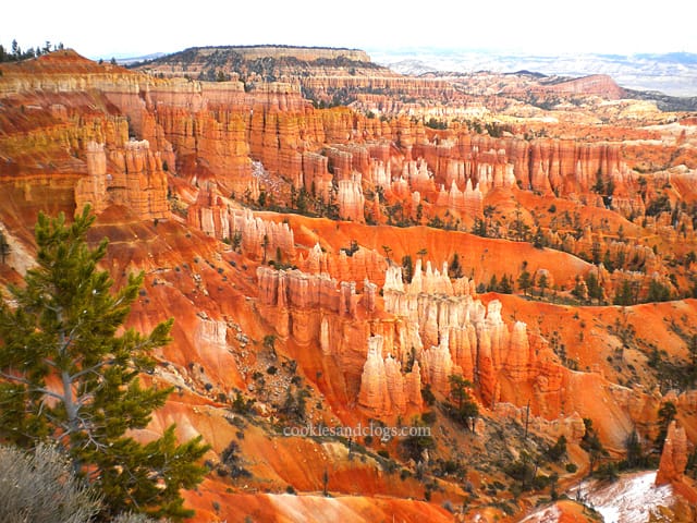 Bryce Canyon US National Park in Utah UT Hoodoo