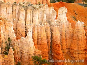 Bryce Canyon US National Park in Utah UT Hoodoo